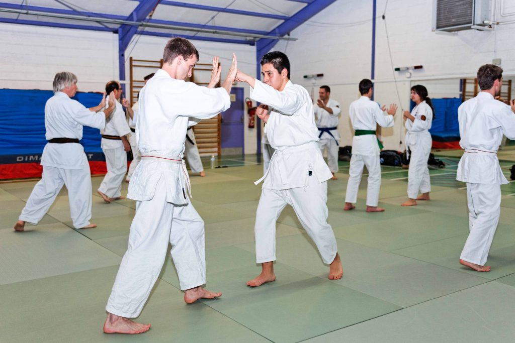 201010 NIHON THAI JITSU (13)