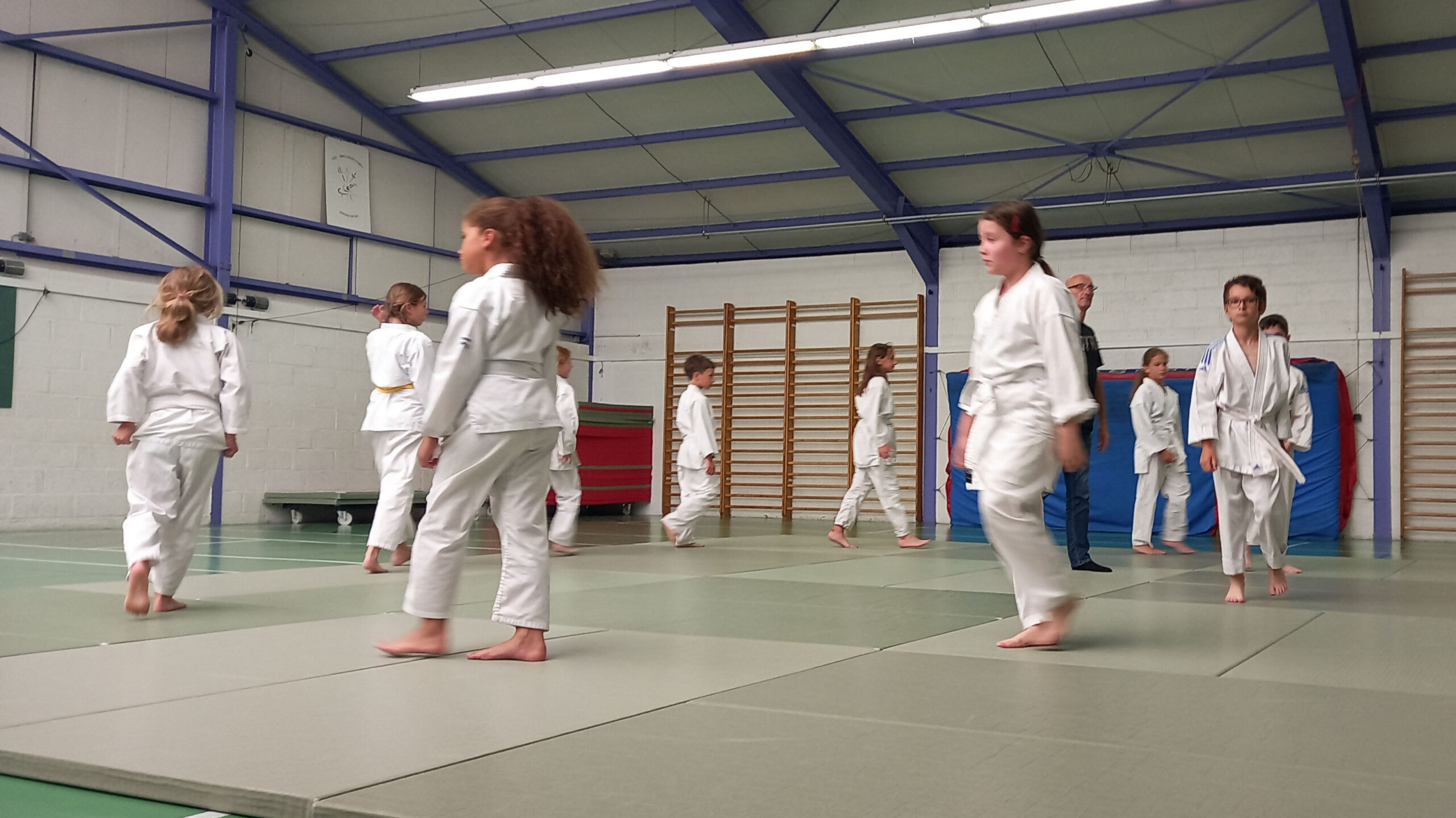 Groupe d'enfant self-défense - Nihon Taï Jitsu