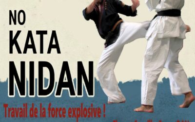 Stage No Kata Nidan
