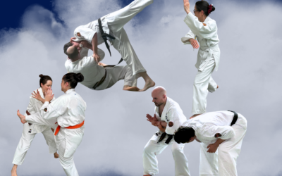 Nihon Taï Jitsu à Bonsecours | Rentrée adultes 2026